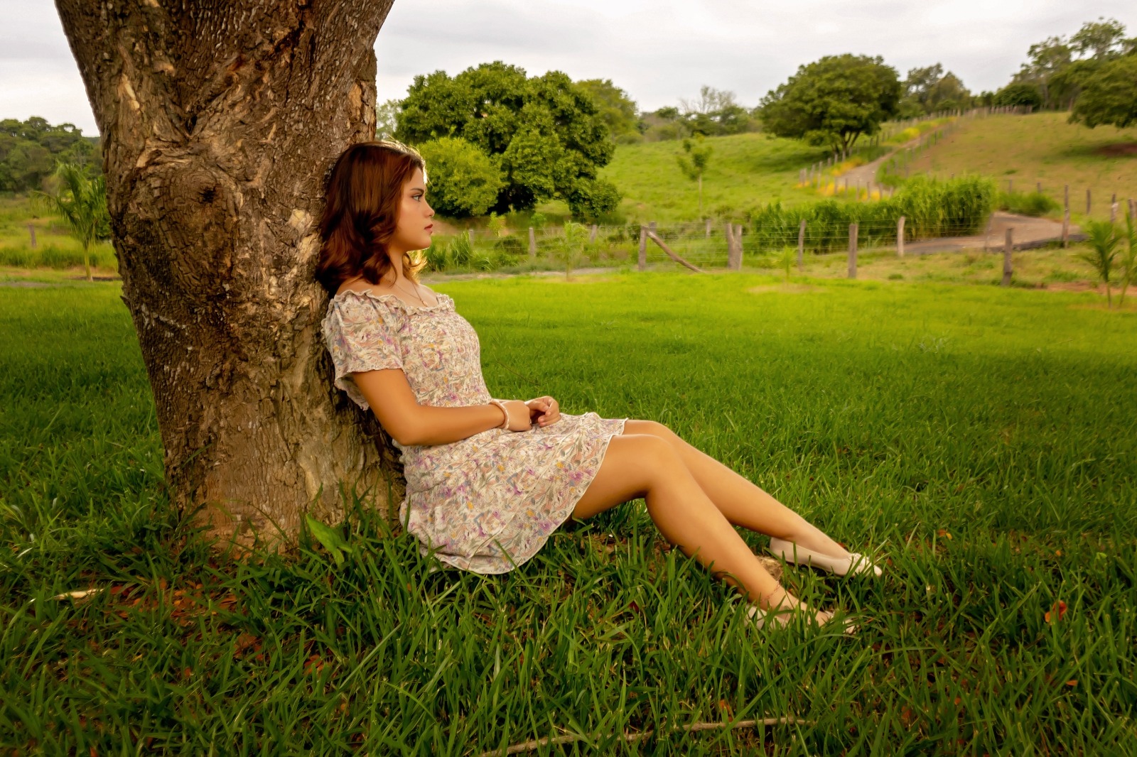 Antonella sentada bajo un árbol, mirando el horizonte
